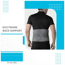 Vissco 0105 Eco Frame Back Support rigid lumbar support belt