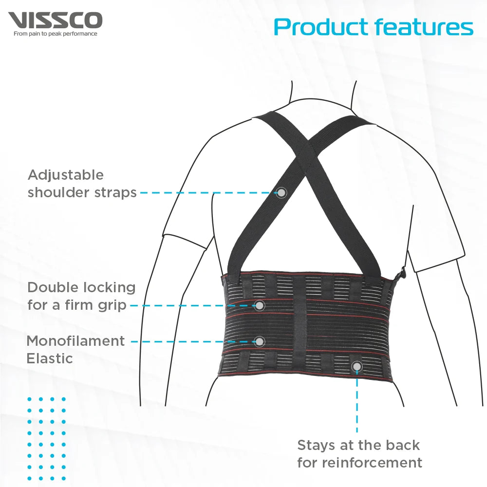 Vissco Industrial Back Support Belt Rear View with Four Support Stays